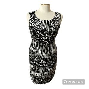 Calvin Klein Black and White Dress